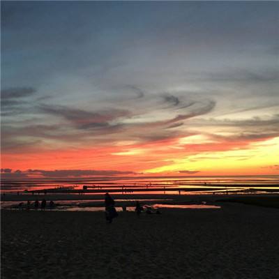 pg娱乐电子游戏官网