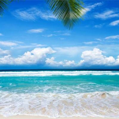 pg电子娱乐平台下载手机版