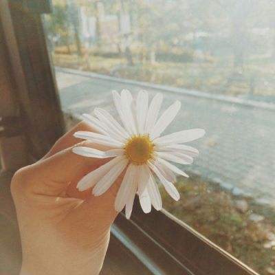 半岛全站app下载