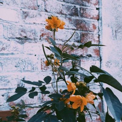 爱游戏com手机app下载