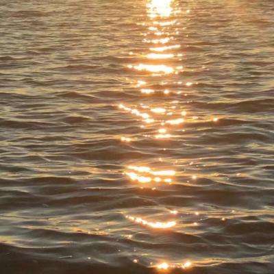 双赢彩票官方网站下载手机版